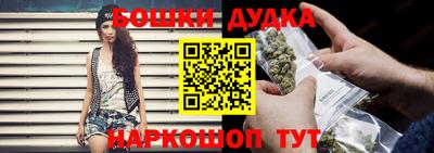 индика Конаково