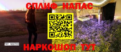 индика Конаково