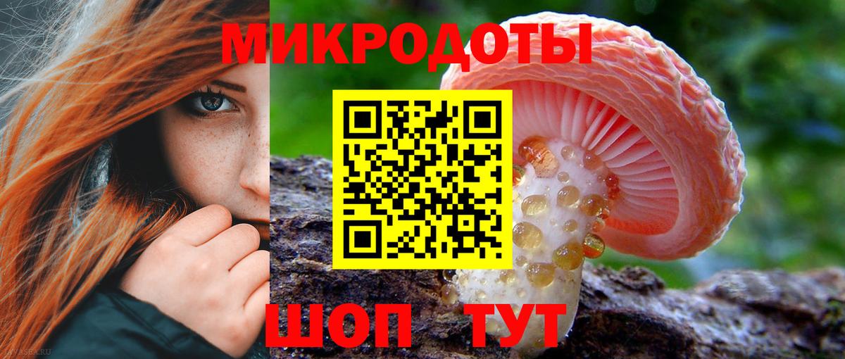 Кольчугино  наркота  Вход с VPN  Псилоцибиновые грибы прущие грибы 